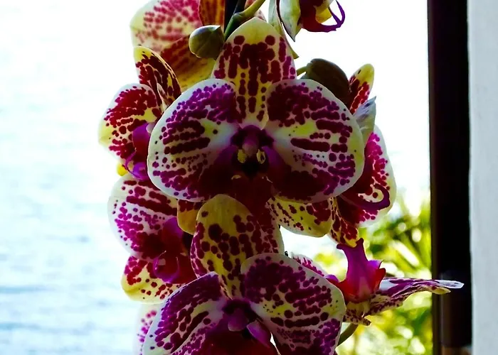 Апартаменты Casa Al - Lakefront Two-storey On Promenade *