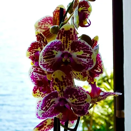 Apartment Casa Al - Lakefront Two-storey On Promenade *